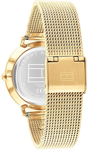 Laikrodis Tommy Hilfiger Arbata 1782880