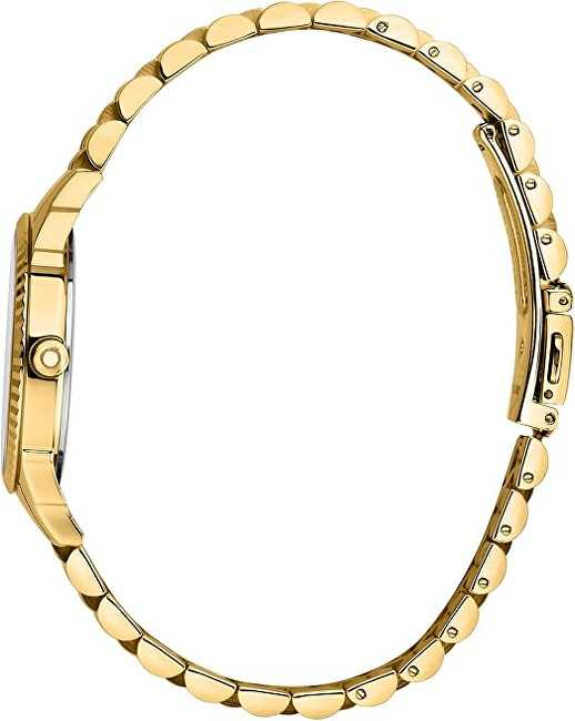 Laikrodis TRUSSARDI R2453144509