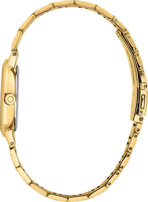 Laikrodis TRUSSARDI modelis R2453171504