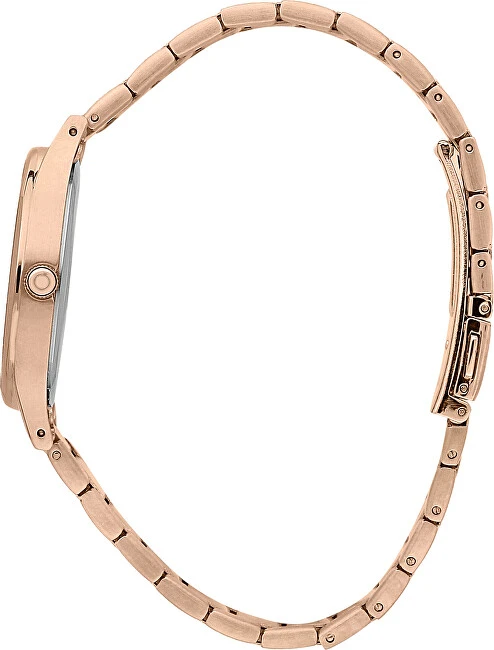 Laikrodis TRUSSARDI R2453152510. Kvarcas, Balta Spalva. Moteris.
