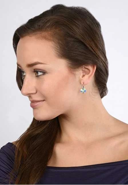 Levien Elegant auskarai Rivoli Crystal AB