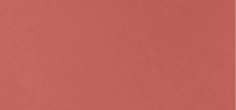 L'Oreal INFAILLIBLE LAQUE labial líquido efecto vinilo #Smoked Rose 4,3 ml