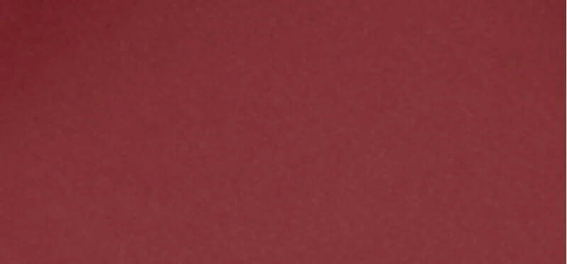 L'Oreal INFAILLIBLE LAQUE labial líquido efecto vinilo #Midnight Bordo 4,3 ml