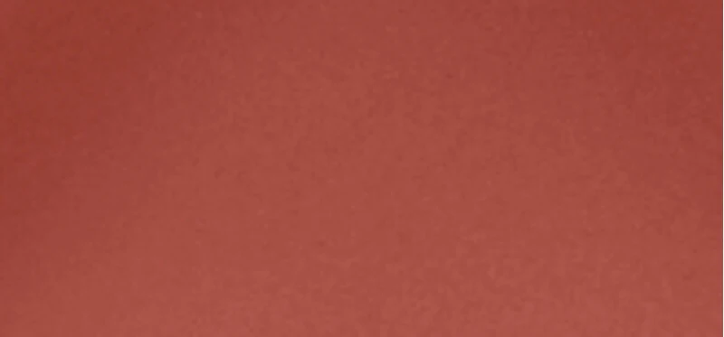 L'Oreal INFAILLIBLE LAQUE labial líquido efecto vinilo #Almond Nude 4,3 ml