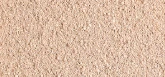 „L'Oréal Paris Infaillible 24H Fresh Wear Foundation In A Powder Makeup“ moterims, 9 g