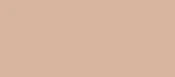 L’Oréal Paris makiažo pagrindas True Match (2N Vanilla) 30ml