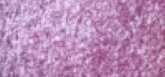MAC Cosmetics Dazzleshadow Eyeshadow akių šešėliai, atspalvis: Can't Stop, Don't Stop, 1 g