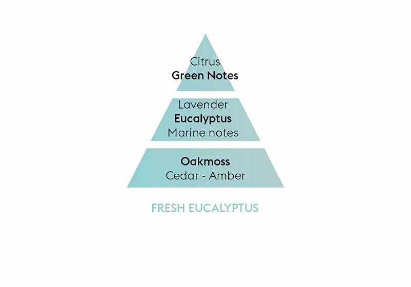 Maison Berger Paris Katalitinės lempos užpildas Fresh Eucalyptus Fresh Eucalyptus (Lampe RechargeRefill) 500 ml