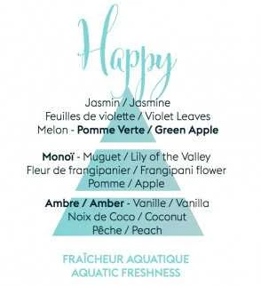 Drėkintuvas „Maison Berger Paris Aroma Happy Aquatic Freshness“ automobilio difuzoriaus papildymas / papildymas, 2 vnt.