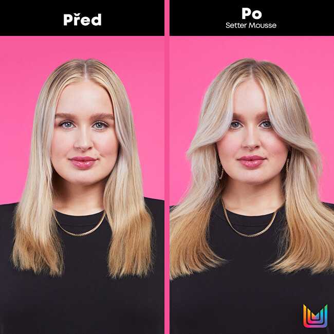 Lanksčios fiksacijos plaukų formavimo putos Matrix Setter Mousse 232g