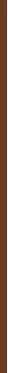 Max Factor „Miracle Pure“ vitamino C vidutinio atspalvio kreminis makiažo pagrindas, 105 Ganache, taip, 30 ml