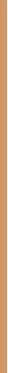 makiažo pagrindas Max Factor Miracle Pure Foundation Spf30 80-Bronze
