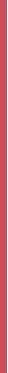Max Factor 2000 kalorijų lūpų blizgis 95-Soft Kisses 4, 4 ml