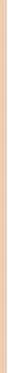 "Max Factor Facefinity 3in1 Primer, maskuoklis ir makiažo pagrindas 35-Pearl rusvai gelsvas" 30ml