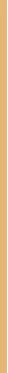 Patyka Glow Perfecting Kreminis with Golden Tint, 40 ml