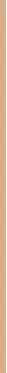 Patyka Color Sun Kreminis Spf50+, 40 ml