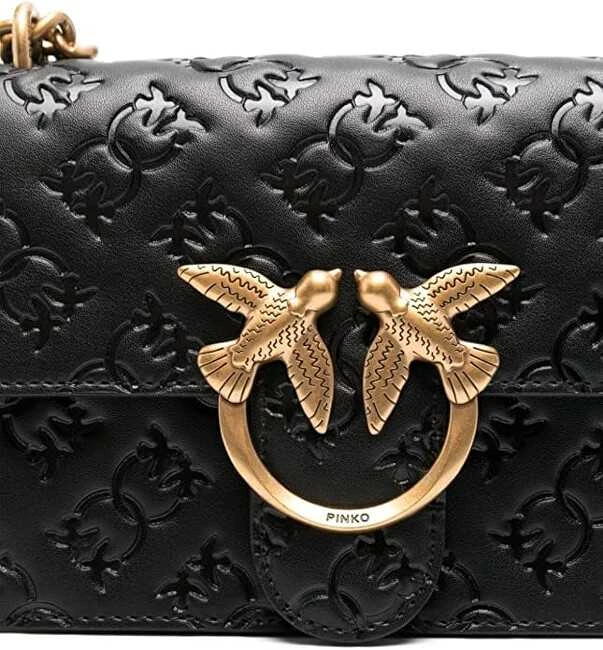 Pinko Moteriška odinė rankinė per petį 100074 A1YB Z99Q