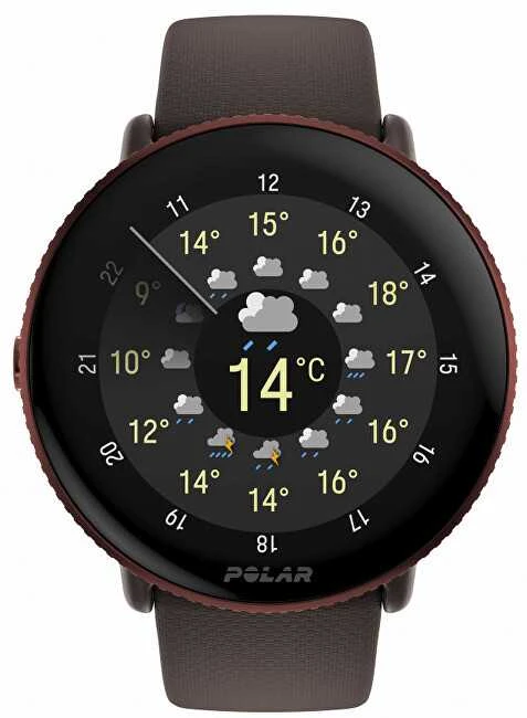 Išmanusis laikrodis Polar Ignite 3, S-L dydžio, Vario spalvos korpusas su rudos spalvos dirželiu