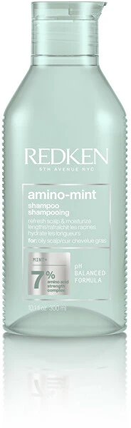 Redken Amino mėtinė šampūnas - 300 ml