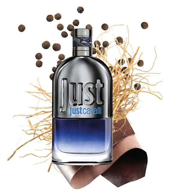 Roberto Cavalli Just Cavalli Him - EDT 90 ml + dušo želė 100 ml + EDT 15 ml + Kosmetinis krepšelis