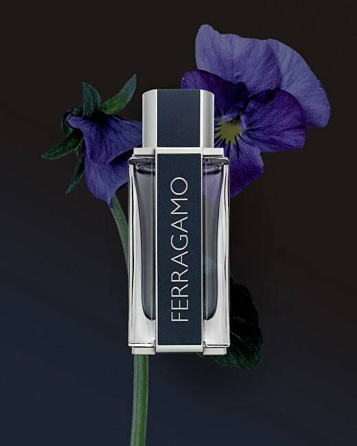 Salvatore Ferragamo Ferragamo - EDT 100 ml + 2v1 sprchový gel a šampon 100 ml + EDT 15 ml