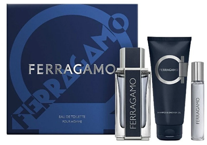 Salvatore Ferragamo Ferragamo - EDT 100 ml + 2v1 sprchový gel a šampon 100 ml + EDT 15 ml