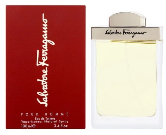 Salvatore Ferragamo Pour Homme EDT tualetinis vanduo vyrams, 100 ml