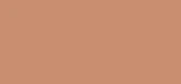 Shiseido Tanning Compact Foundation SPF10, 12 g