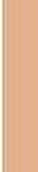 Shiseido Apsauga nuo saulės Compact Foundation SPF30, 12 g