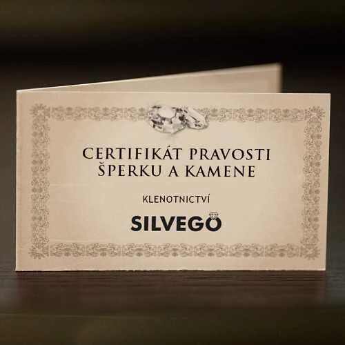 Silvego Sidabrinis kabantys auskarai su tikru Moonstone JST13327EMS
