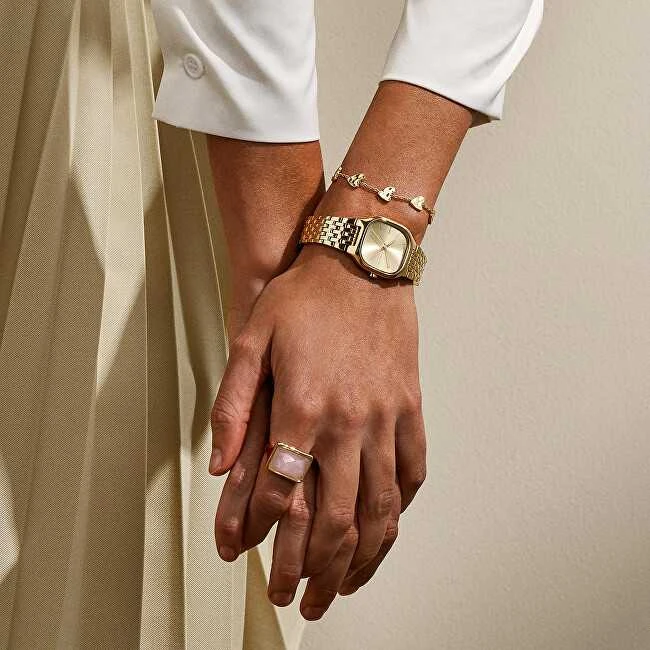 Skagen Auksuota širdies formos apyrankė Anja Hearts SKJ5010710