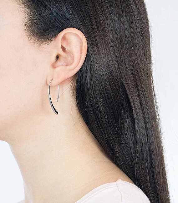 Skagen Luxury steel earrings SKJ1057040