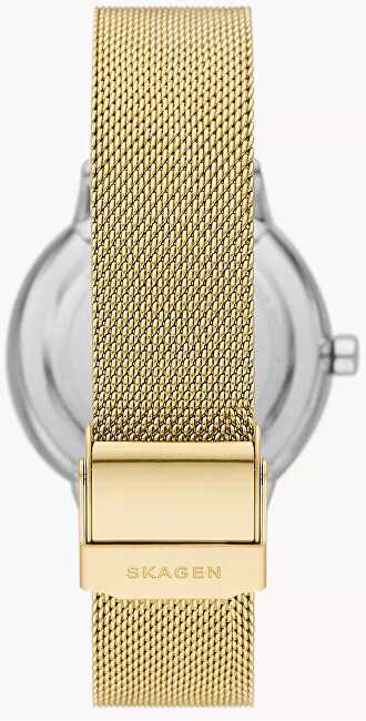 Laikrodis SKAGEN DENMARK RIIS SKW3092