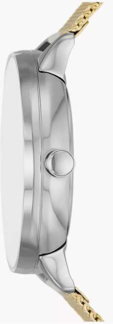 Laikrodis SKAGEN DENMARK RIIS SKW3092