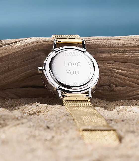 Laikrodis SKAGEN DENMARK RIIS SKW3092