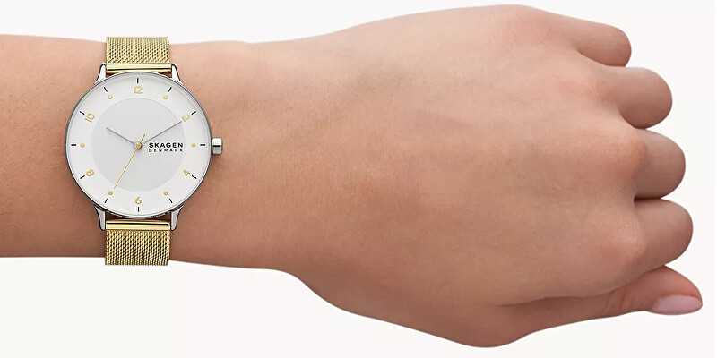 Laikrodis SKAGEN DENMARK RIIS SKW3092