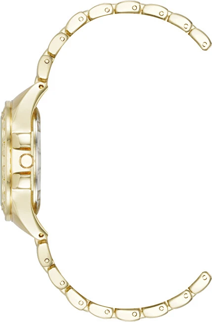 Steve Madden Analog watch SM-8176CHGP