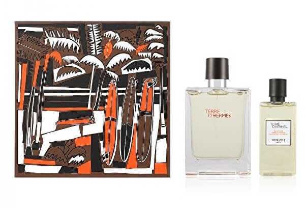 Terre D´ Hermes - EDT 100 ml + dušo želė 80 ml
