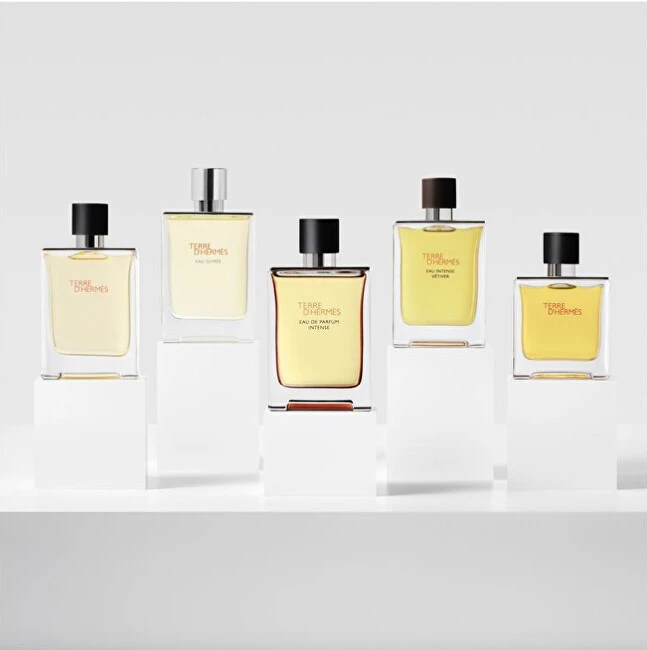 Hermes Terre d'Hermes Intense EDP rinkinys vyrams (EDP 100 ml + EDP 15 ml + After Shave Balm 40 ml)