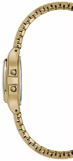 Laikrodis Timex Classic TW2T48000