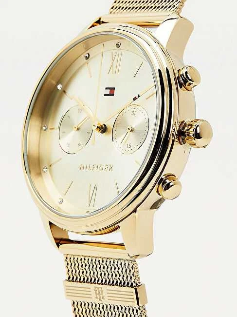 MOTERIŠKAS LAIKRODIS TOMMY HILFIGER BLAKE (zf515a)