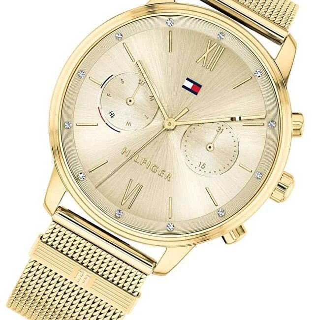 MOTERIŠKAS LAIKRODIS TOMMY HILFIGER BLAKE (zf515a)