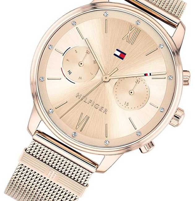 MOTERIŠKAS LAIKRODIS TOMMY HILFIGER BLAKE (zf515d)