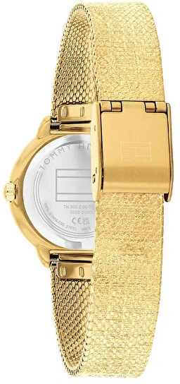 Laikrodis Tommy Hilfiger Demi 1782812