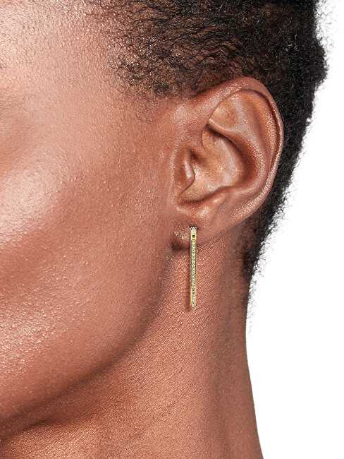 Tommy Hilfiger Ovalūs paauksuoti auskarai su kristalais Dog Tag 2780866