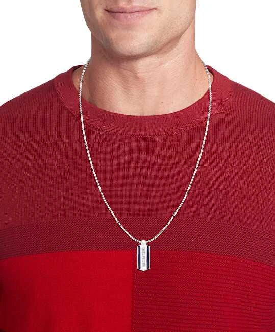 Parker Tommy Hilfiger Stilingas vyriškas karoliai iš plieno Dog Tag 2790599