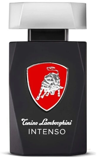 Tonino Lamborghini Lamborghini Intenso EDT tualetinis vanduo vyrams, 200 ml