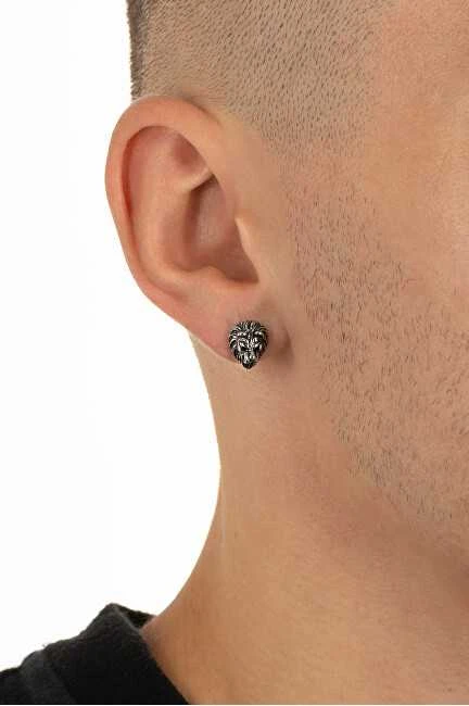Troli Design steel earrings Lev KS-142