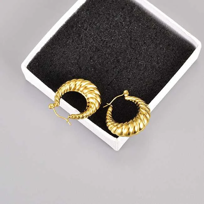 Troli Elegant steel hoop earrings