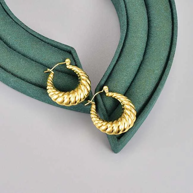 Troli Elegant steel hoop earrings